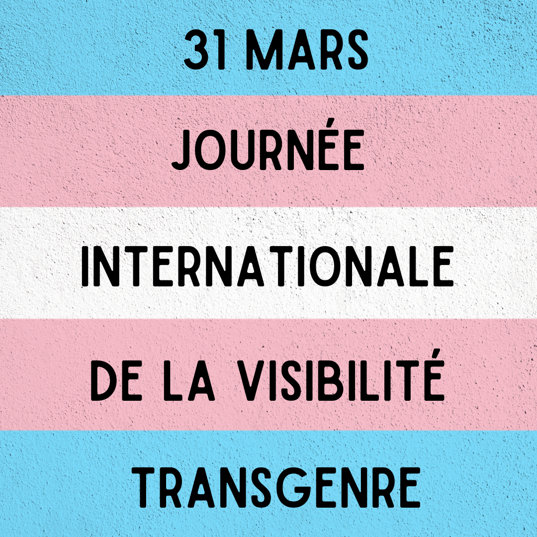 Image 31 mars - Journée de la visibilité TRANS