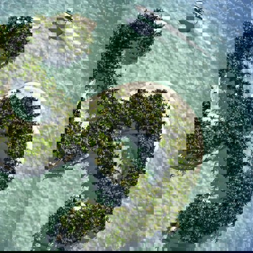 Quatre ans après les Panama Papers, les Canadiens attendent toujours des mesures pour plus de justice fiscale - APTS Quatre ans après les Panama Papers, les Canadiens attendent toujours des mesures pour plus de justice fiscale - APTS