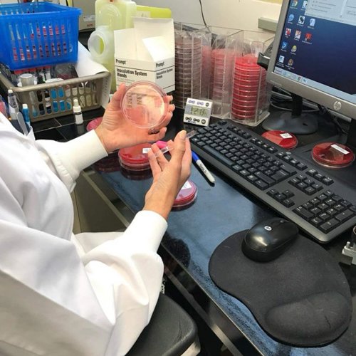 Lettre ouverte - Laboratoire en détresse, population en danger - APTS Lettre ouverte - Laboratoire en détresse, population en danger - APTS