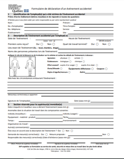 Annexe 2 Formulaire de déclaration d'un événement accidentel