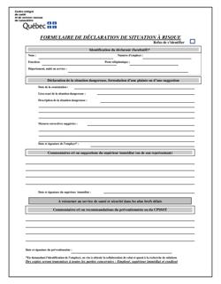 FORMULAIRE | Déclaration de situation à risque (DSR) FORMULAIRE | Déclaration de situation à risque (DSR)