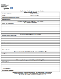 Annex 3 Declaration of a dangerous or at-risk situation form