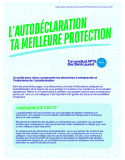 Guide sur l'autodéclaration STT 2024