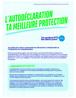 Guide sur l'autodéclaration STT 2024 Guide sur l'autodéclaration STT 2024