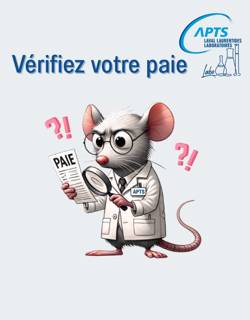 Vérifiez votre paie