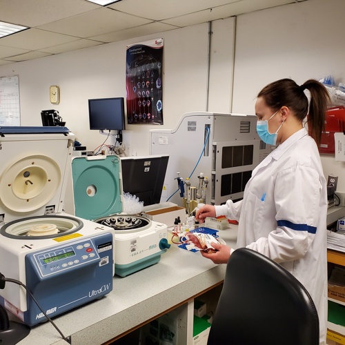Projet d’abolition du titre d’emploi de technicien·ne de laboratoire médical diplômé·e par le MSSS - APTS Projet d’abolition du titre d’emploi de technicien·ne de laboratoire médical diplômé·e par le MSSS - APTS