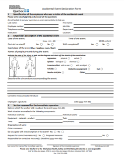 Annex 2 Accidental Event Declaration Form