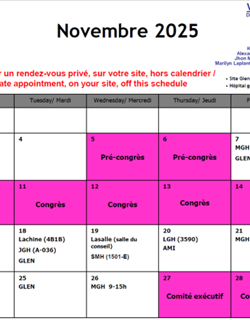 Calendrier novembre 2025 / November 2025 Calendar