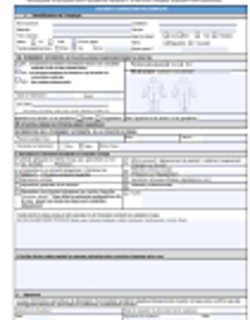 Formulaire de déclaration incident/accident/situation à risques/maladie professionnelle