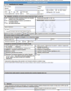 Formulaire de déclaration incident/accident/situation à risques/maladie professionnelle Formulaire de déclaration incident/accident/situation à risques/maladie professionnelle