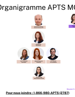Organigramme équipe locale 