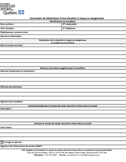 Annexe 3 Formulaire de déclaration d'une situation à risque ou dangereuse