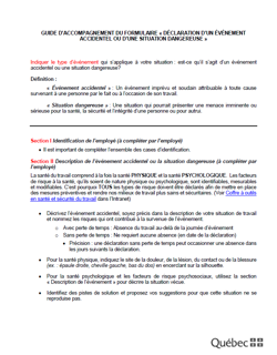 Guide d'accompagnement: Déclaration d'un événement ou d'une situation dangereuse (CISSSBSL) Guide d'accompagnement: Déclaration d'un événement ou d'une situation dangereuse (CISSSBSL)
