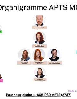 Organigramme équipe locale 
